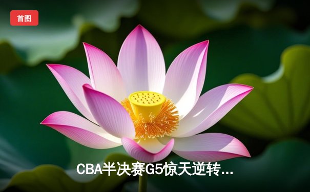 CBA半决赛G5惊天逆转！辽宁本钢加时险胜广东宏远晋级总决赛